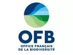 OFB