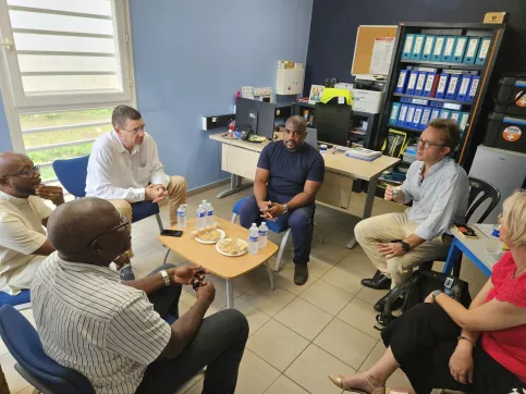 Groupes de professionnels qui échangent.