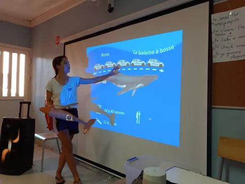 Adulte devant un vidéo projecteur 